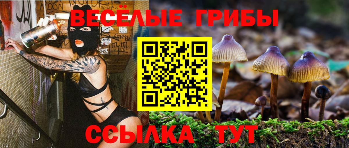 Псилоцибиновые грибы MAGIC MUSHROOMS  Вход с VPN  Нальчик 